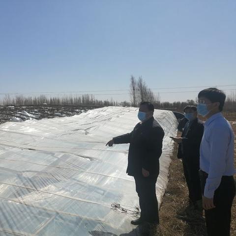 衡水天气预报30天（下载河北天气预报几点几分下雨）