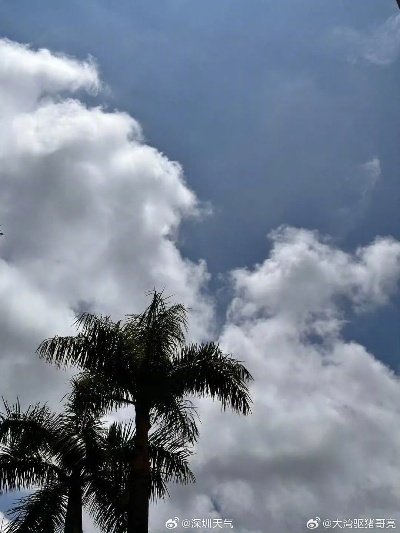 深圳今日天气(深圳今日天气情况) 深圳今日天气(深圳今日天气情况)