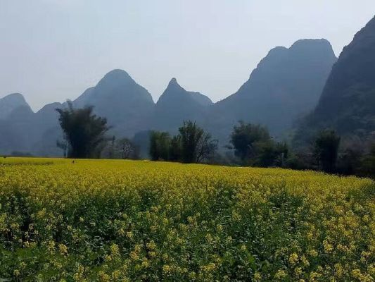 阳朔未来一周穿衣建议(阳朔现在的气温适合穿什么) 阳朔未来一周穿衣建议(阳朔现在的气温适合穿什么)