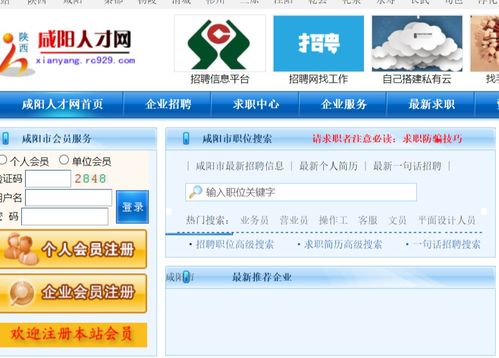 招聘网(招聘网址) 招聘网(招聘网址)