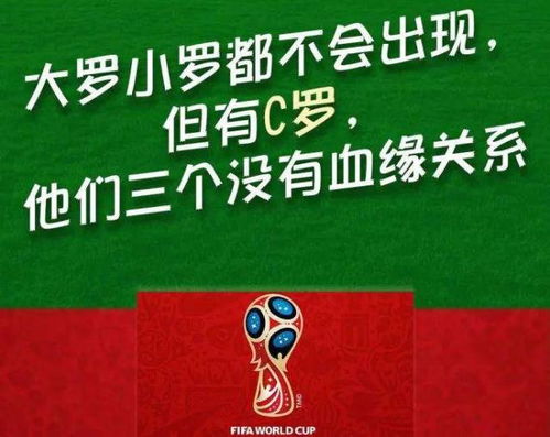 世界杯怎么买彩票的免费版V85.30.217.98ios版本-好用