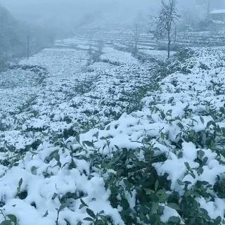 今天全国天气预报（今天全国天气预报视频）