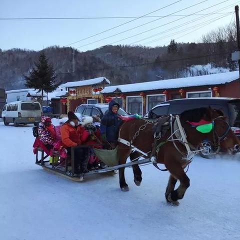 去哈尔滨看雪最佳时间（去哈尔滨看雪最佳时间是多少）