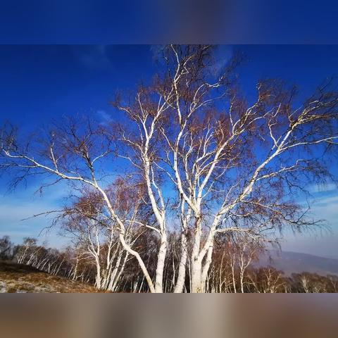 合肥天气(合肥天气预报15天准确一览表) 合肥天气(合肥天气预报15天准确一览表)