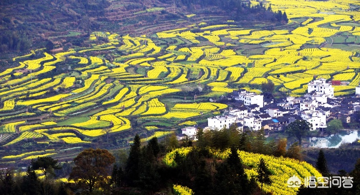 江西婺源天气30天（江西婺源几月份去最好）