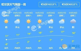 哈尔滨天气预报一周天气(天气预报哈尔滨天气预报) 哈尔滨天气预报一周天气(天气预报哈尔滨天气预报)