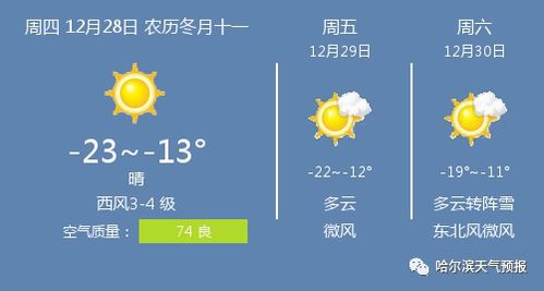饶河天气预报（哈尔滨天气预报）