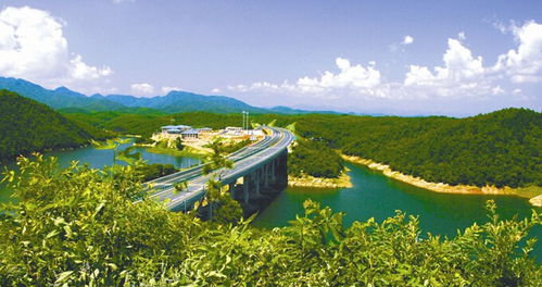 随县天气预报15天查询百度（随县市天气预报）