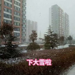 今天气象台发布天气预报(九龙仓华发天荟值得买吗) 今天气象台发布天气预报(九龙仓华发天荟值得买吗)